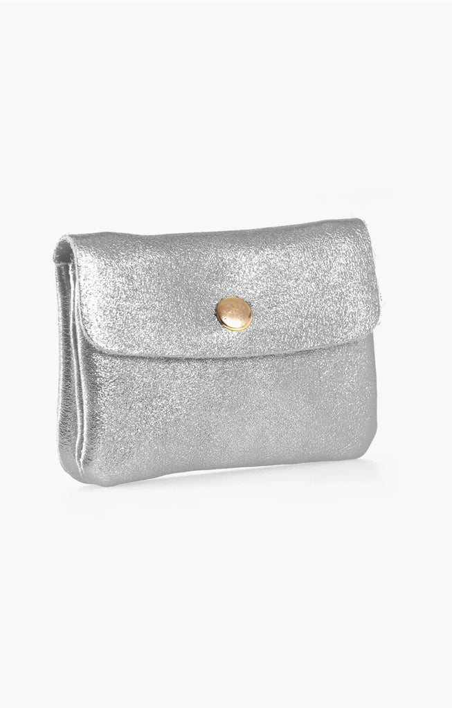 Macie Metallic Silver Small Leather Coin Purse