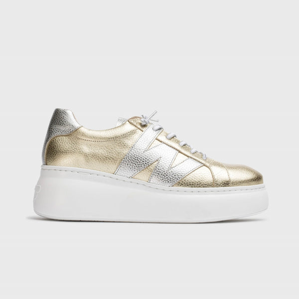 Wonders Gold & Silver Classic Trainer