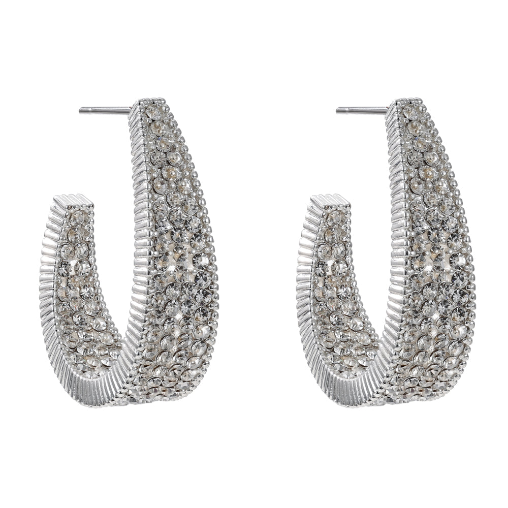 Juliette Silver Encrusted Hoop Earrings