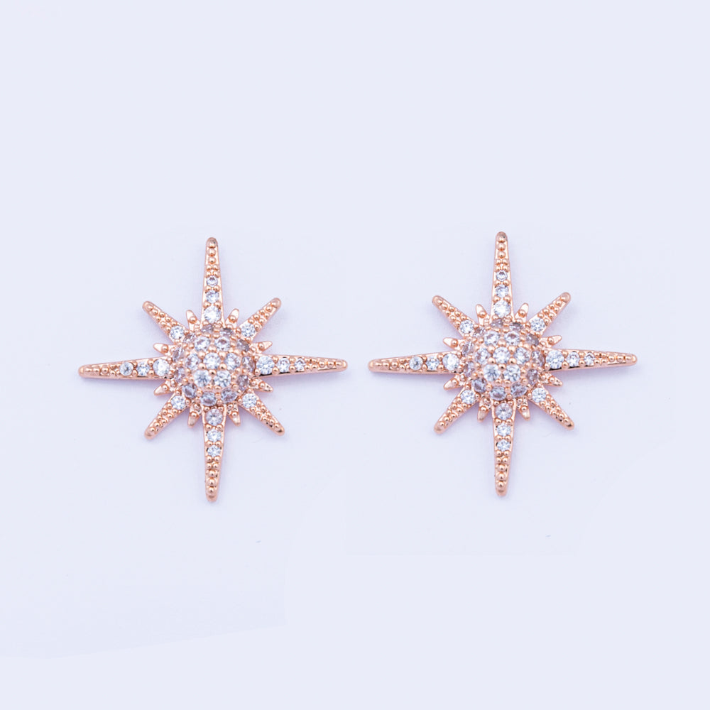 Rose Gold Star Earrings*